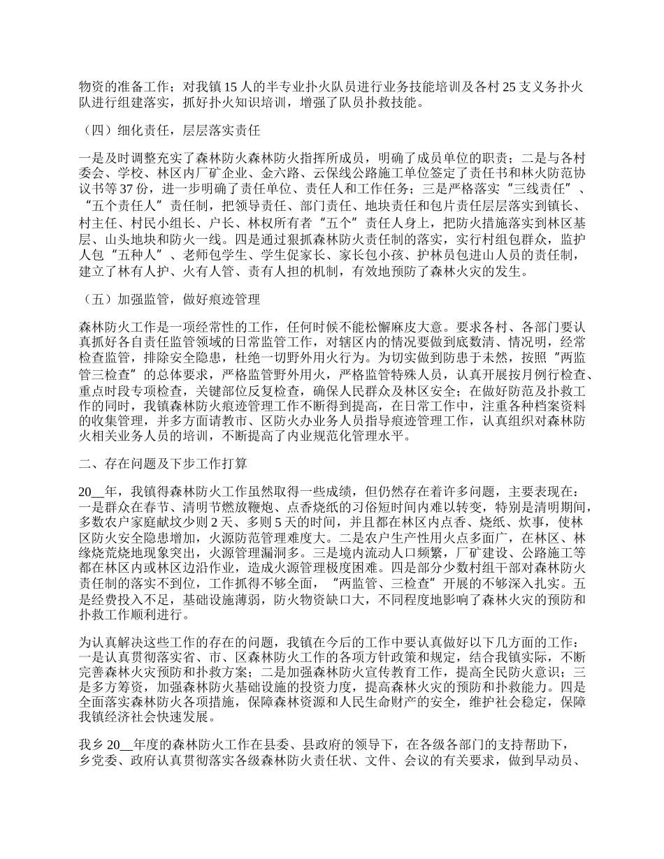 年乡镇森林防火工作总结.docx_第2页