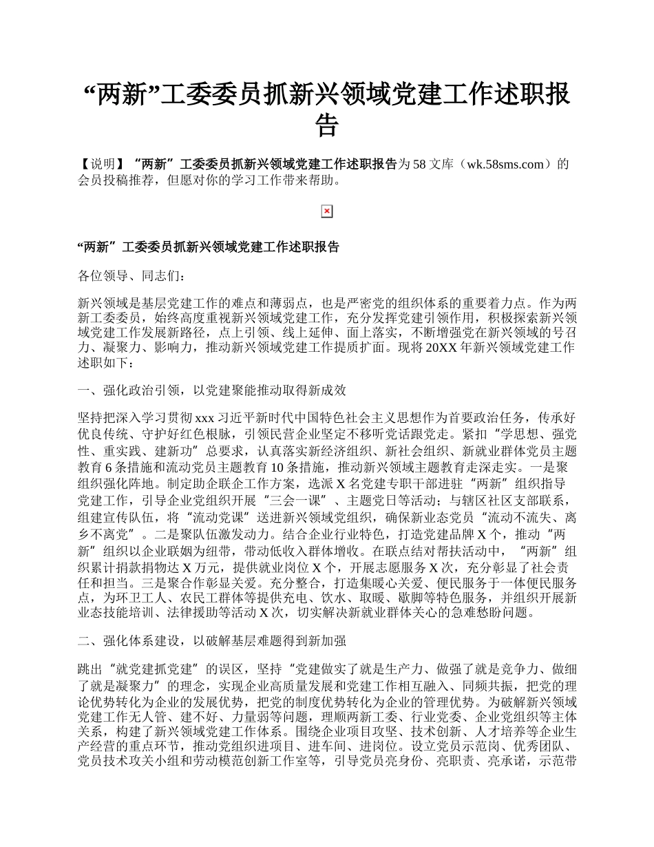 “两新”工委委员抓新兴领域党建工作述职报告.docx_第1页