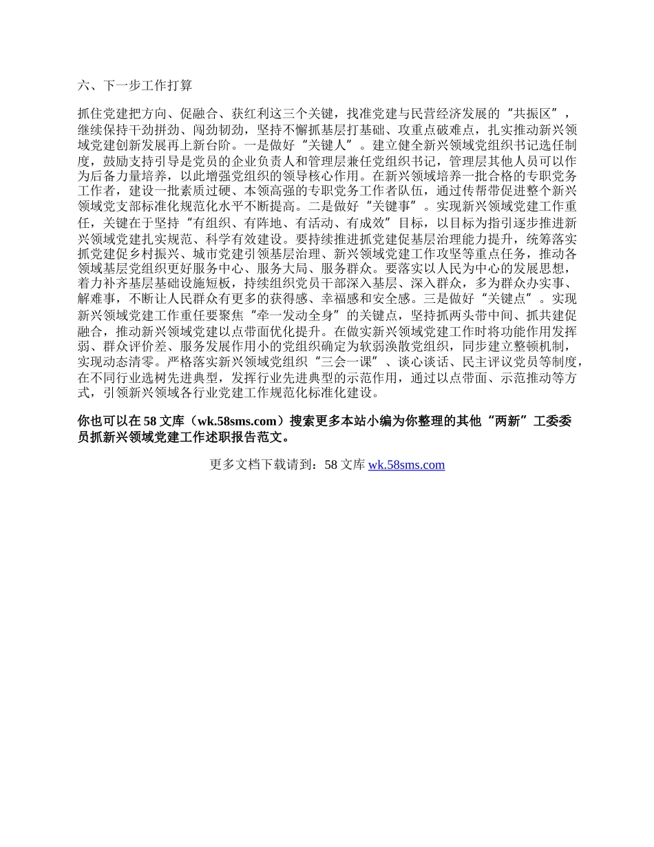 “两新”工委委员抓新兴领域党建工作述职报告.docx_第3页