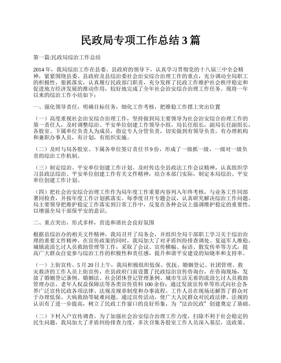 民政局专项工作总结3篇.docx_第1页