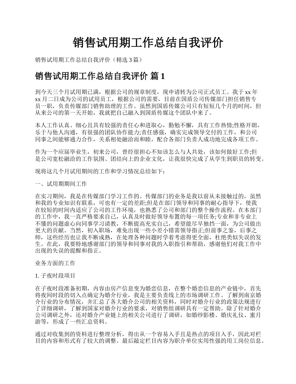 销售试用期工作总结自我评价.docx_第1页