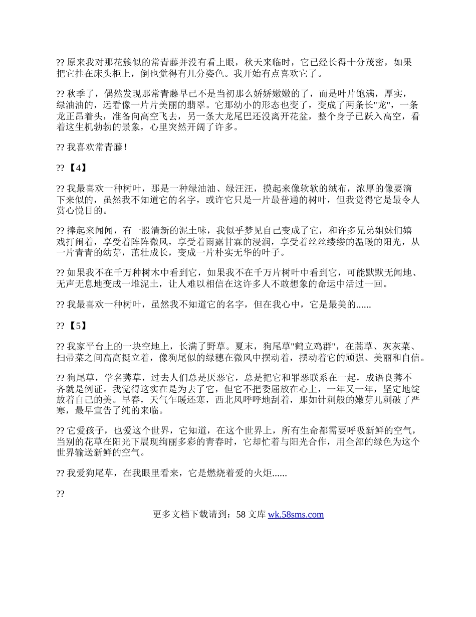 秋天的树叶.docx_第2页