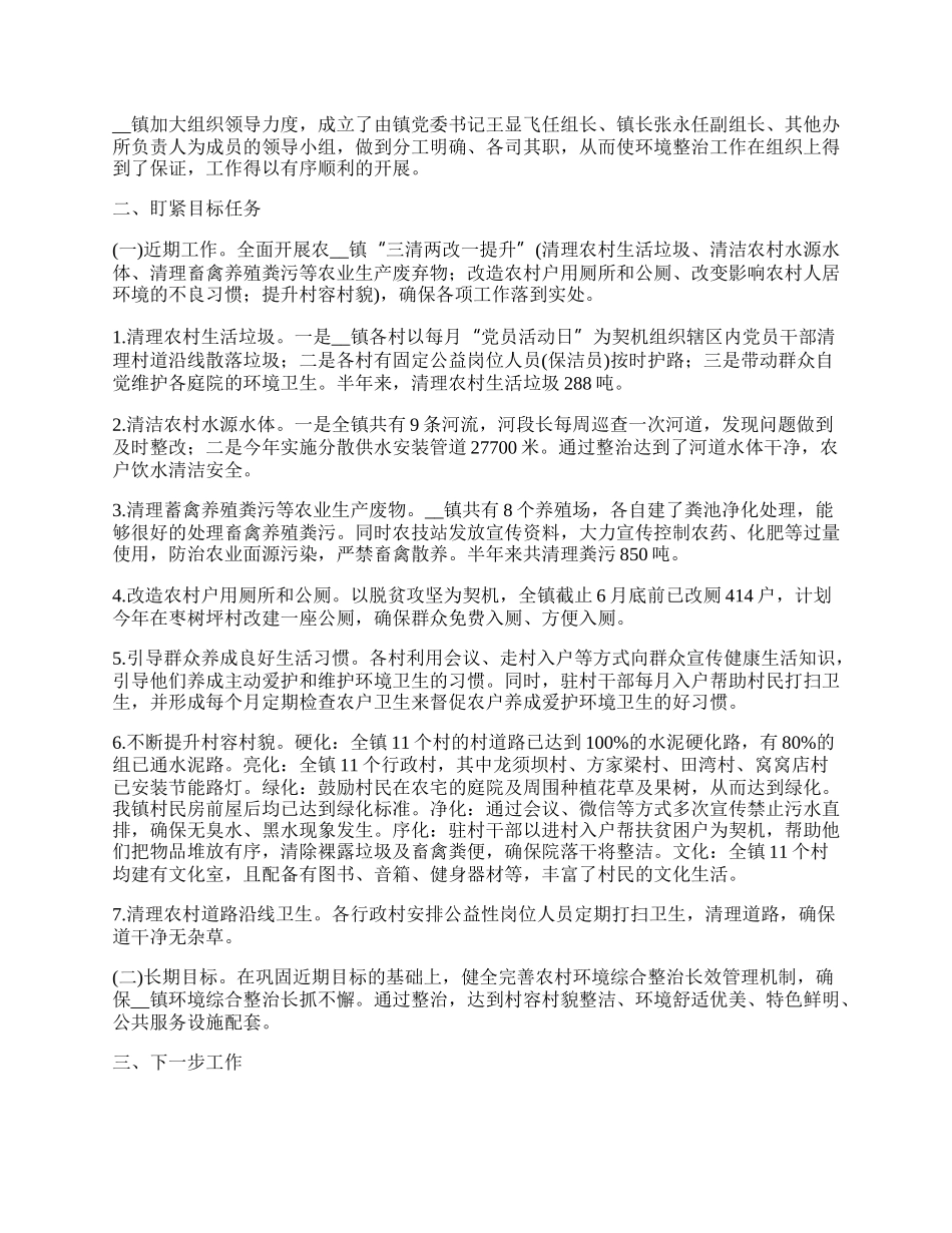 乡镇环境卫生整治情况工作总结.docx_第2页