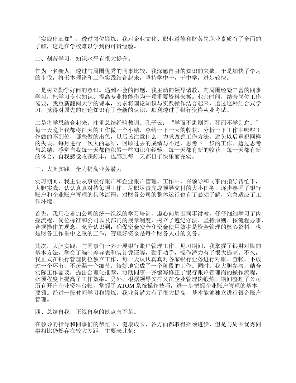 会计工作个人总结报告.docx_第3页