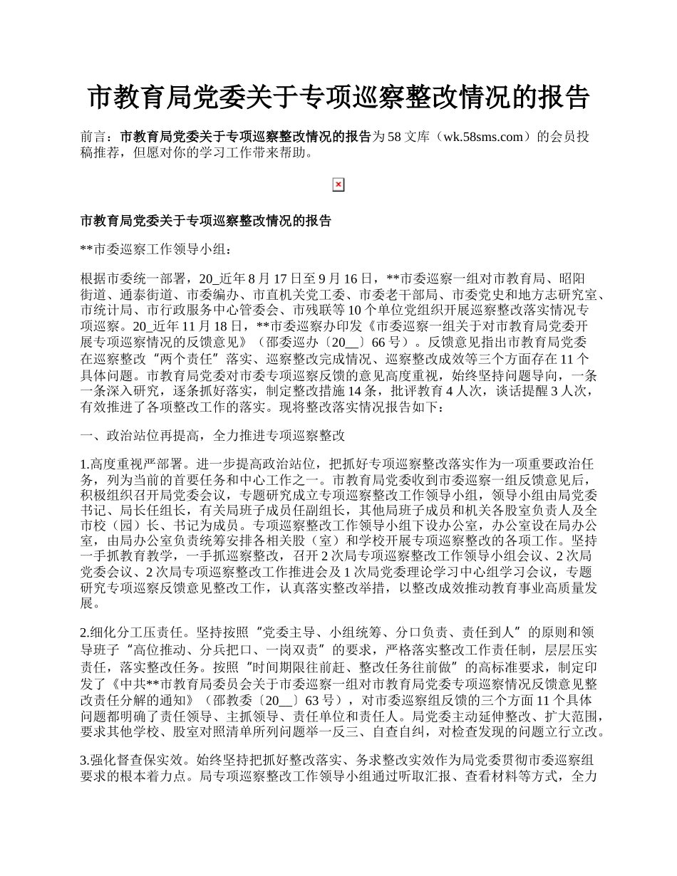 市教育局党委关于专项巡察整改情况的报告.docx_第1页