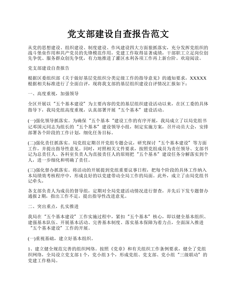 党支部建设自查报告范文.docx_第1页