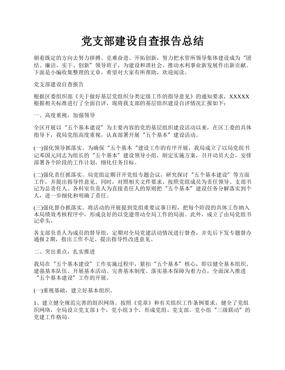 党支部建设自查报告总结.docx_第1页