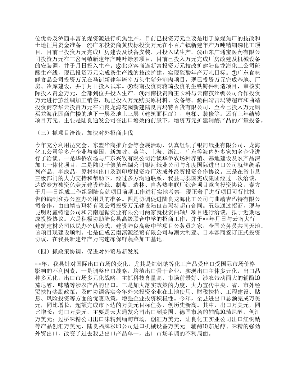 招商局工作总结与招商引资工作计划.docx_第2页