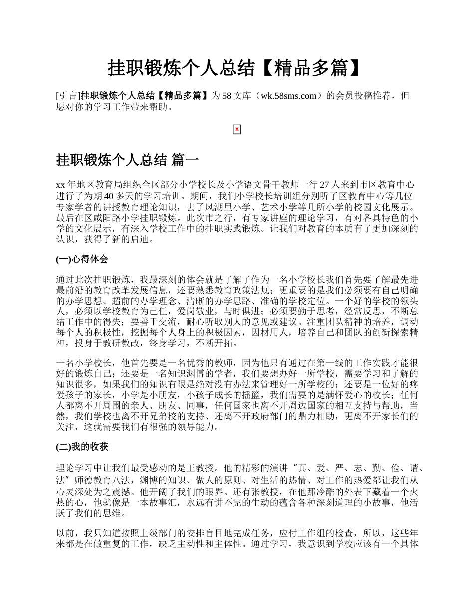 挂职锻炼个人总结【精品多篇】.docx_第1页