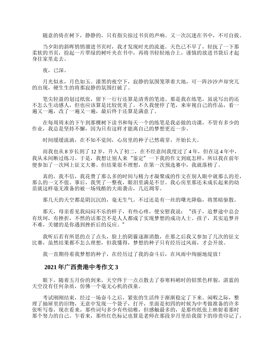 年广西贵港中考作文 奋斗的印记作文600字.docx_第2页