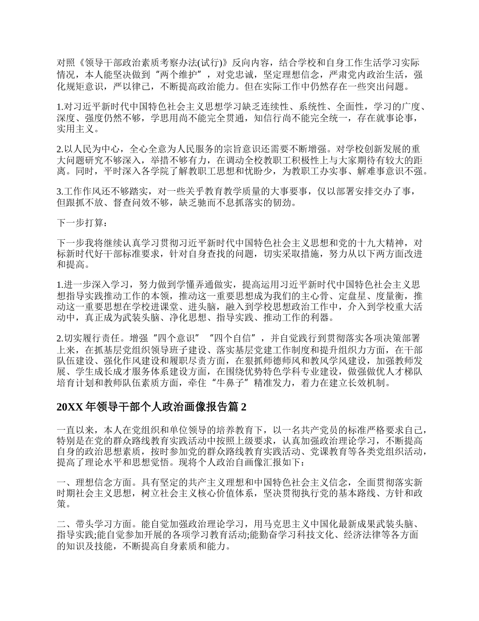 20XX年领导干部个人政治画像报告7篇.docx_第2页