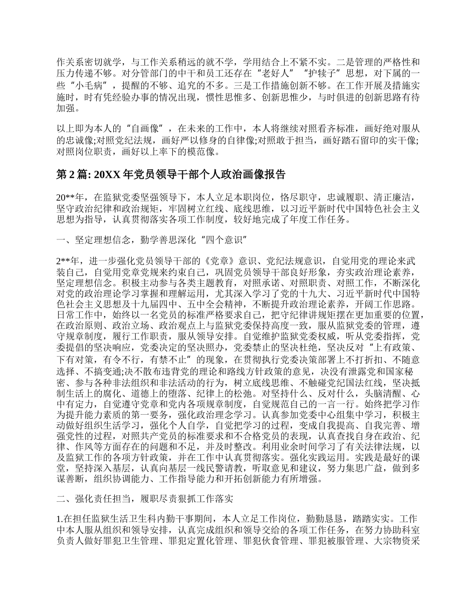 最新党员领导干部个人政治画像报告精选6篇.docx_第2页