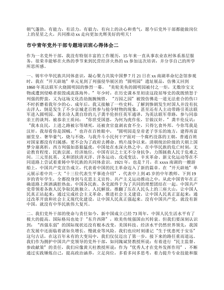 最新市中青年党外干部专题培训班心得体会总结报告精选3篇.docx_第2页