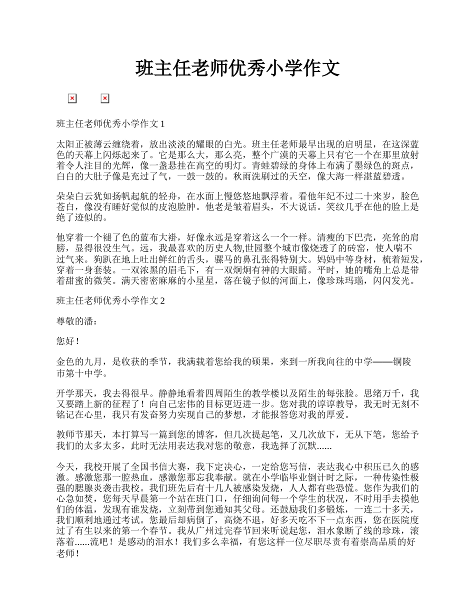 班主任老师优秀小学作文.docx_第1页