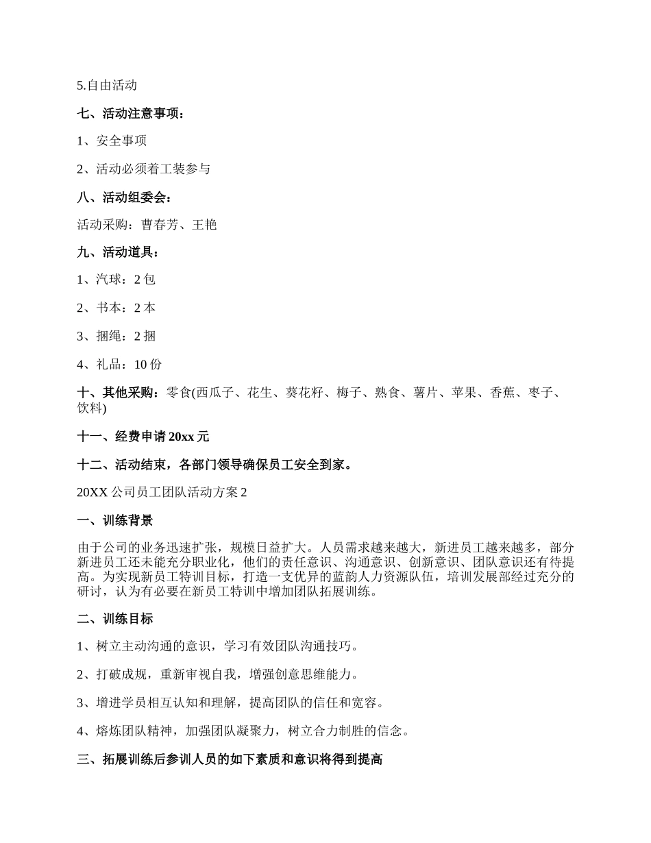 20XX公司员工团队活动方案.docx_第2页