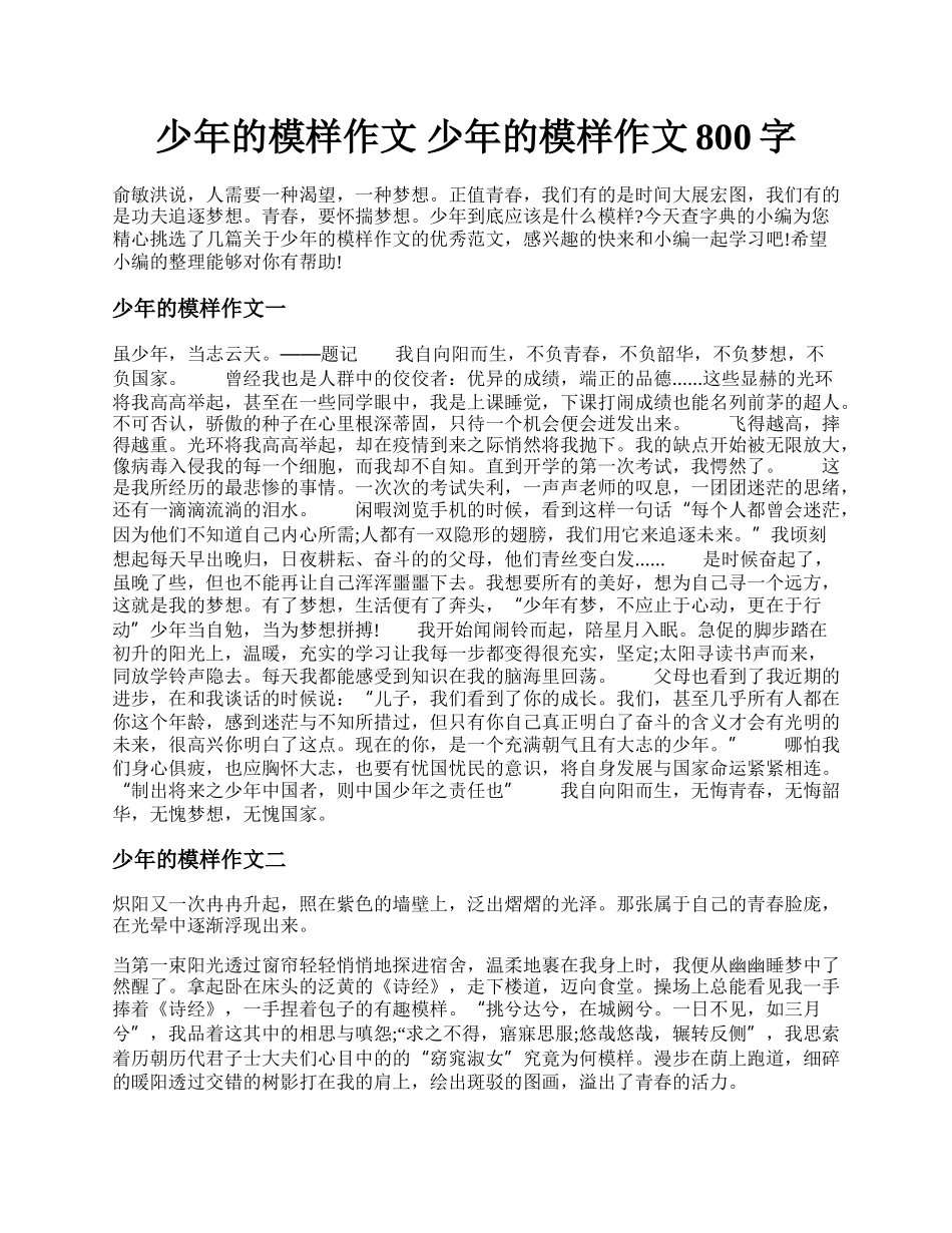 少年的模样作文 少年的模样作文800字.docx_第1页