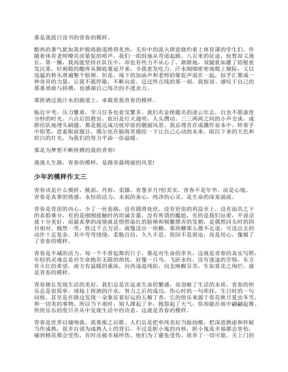 少年的模样作文 少年的模样作文800字.docx_第2页