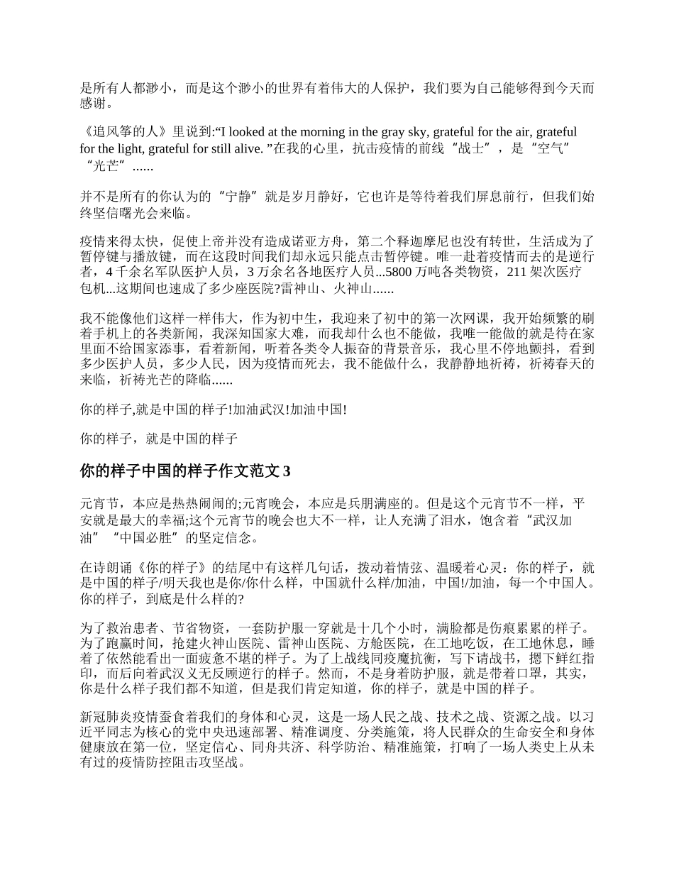 你的样子中国的样子作文范文 你的样子中国的样子600字20XX.docx_第3页