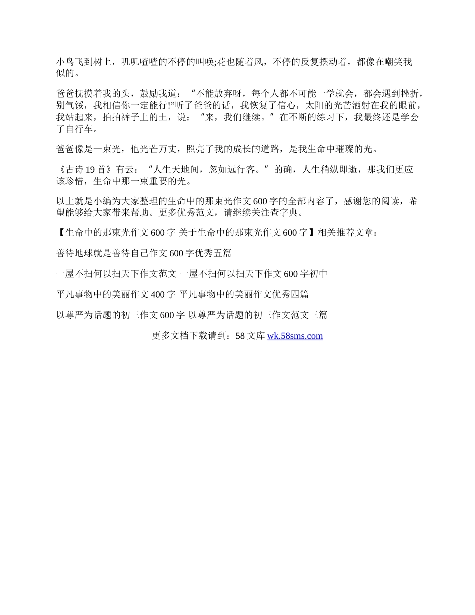 生命中的那束光作文600字 关于生命中的那束光作文600字.docx_第2页