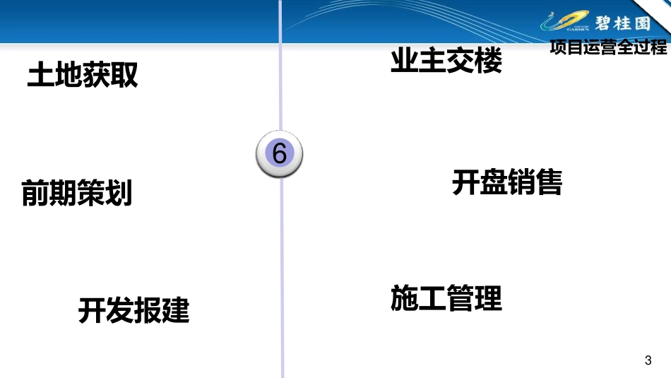 碧桂园项目全周期管理指南 (1).pdf_第3页