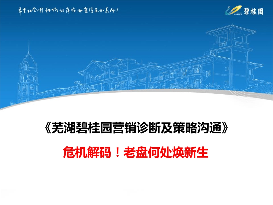 碧桂园营销诊断及策略.pdf_第1页