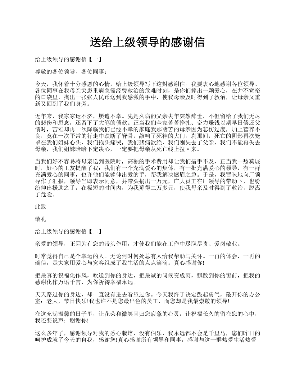 送给上级领导的感谢信.docx_第1页