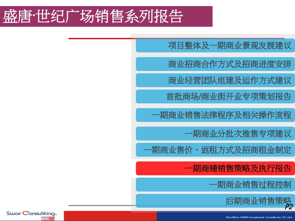 大型商业铺面销售策略及执行方案.pdf_第2页