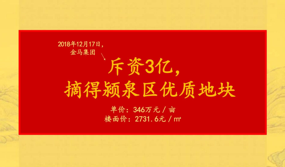 金马_阜阳96号地块营销策略方案.pdf_第2页