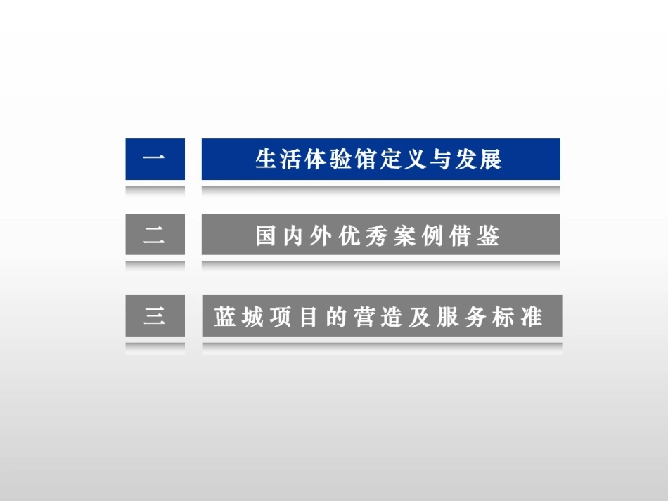 蓝城项目生活体验馆服务标准.pdf_第3页