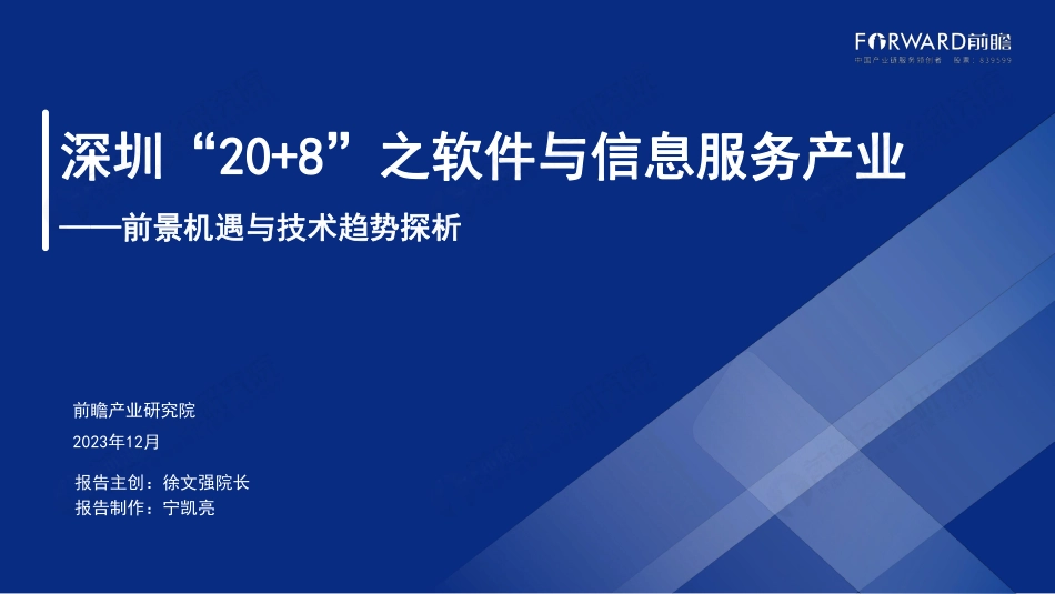 深圳“20 8”之软件与信息服务产业.pdf_第1页