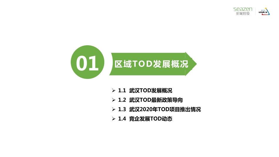 武汉TOD专题合稿2020年.pdf_第3页