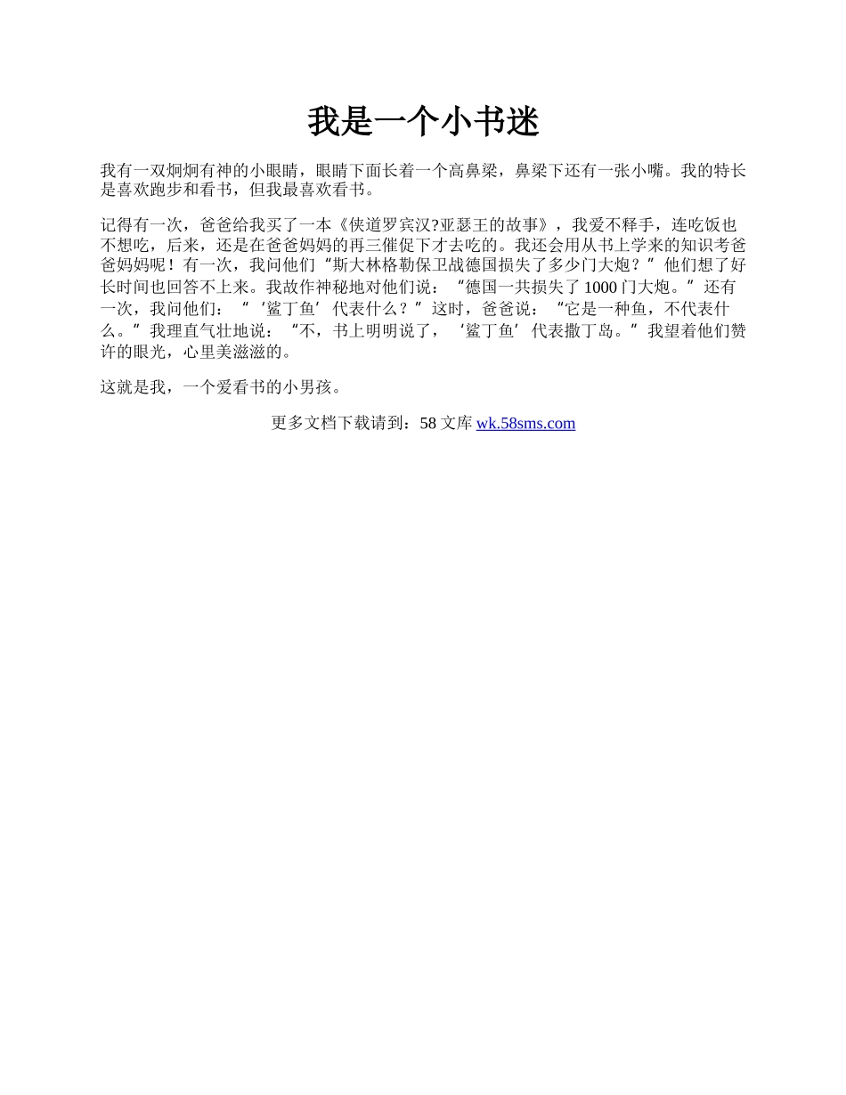 我是一个小书迷.docx_第1页