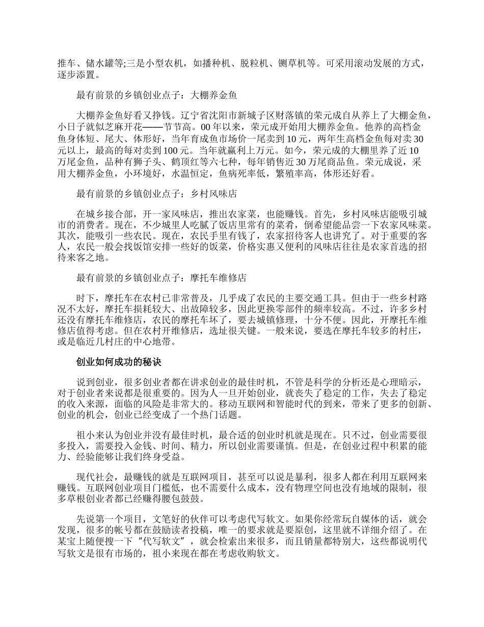 适合农村镇上创业点子.docx_第2页