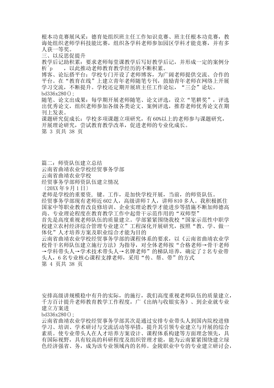 师资队伍建设总结.docx_第2页