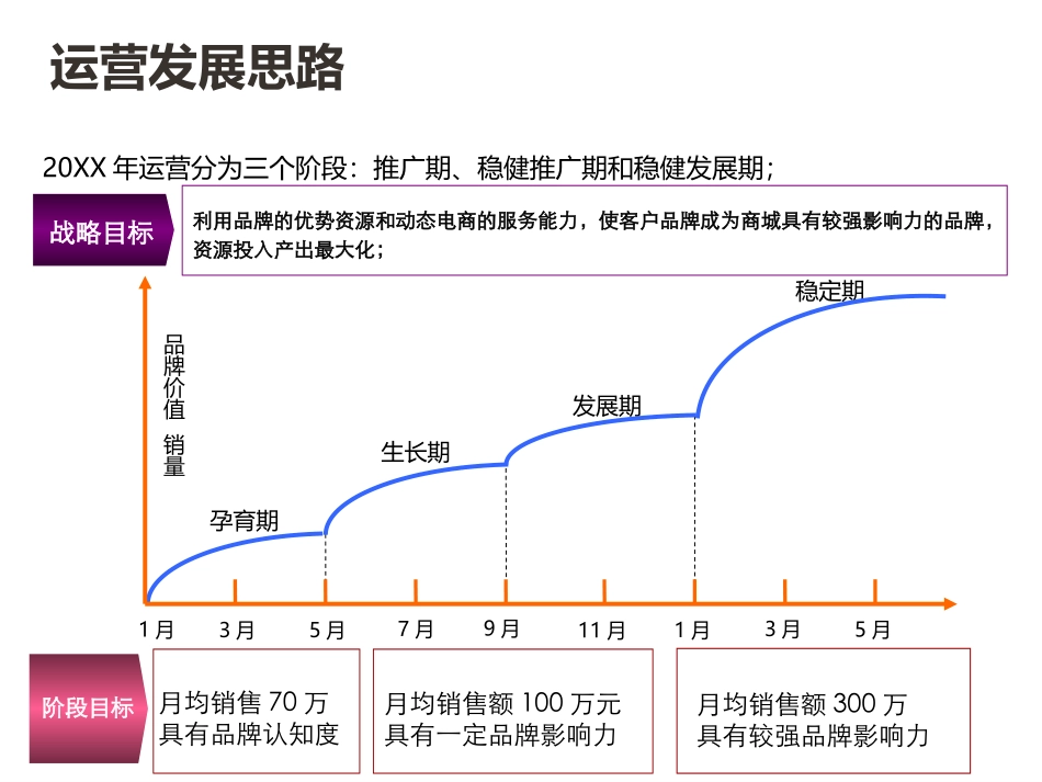 电商-代运营策划整体推广方案.pptx_第3页