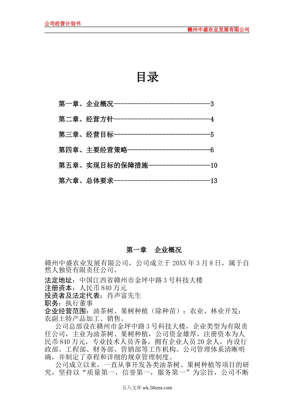 公司运营计划书模板.doc_第2页