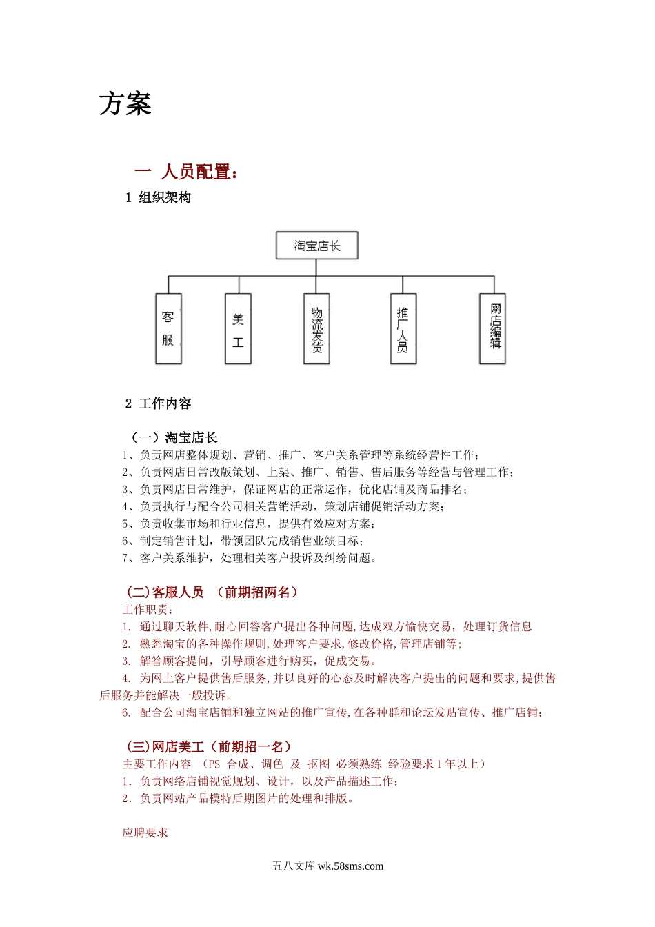 淘宝运营方案.doc_第1页