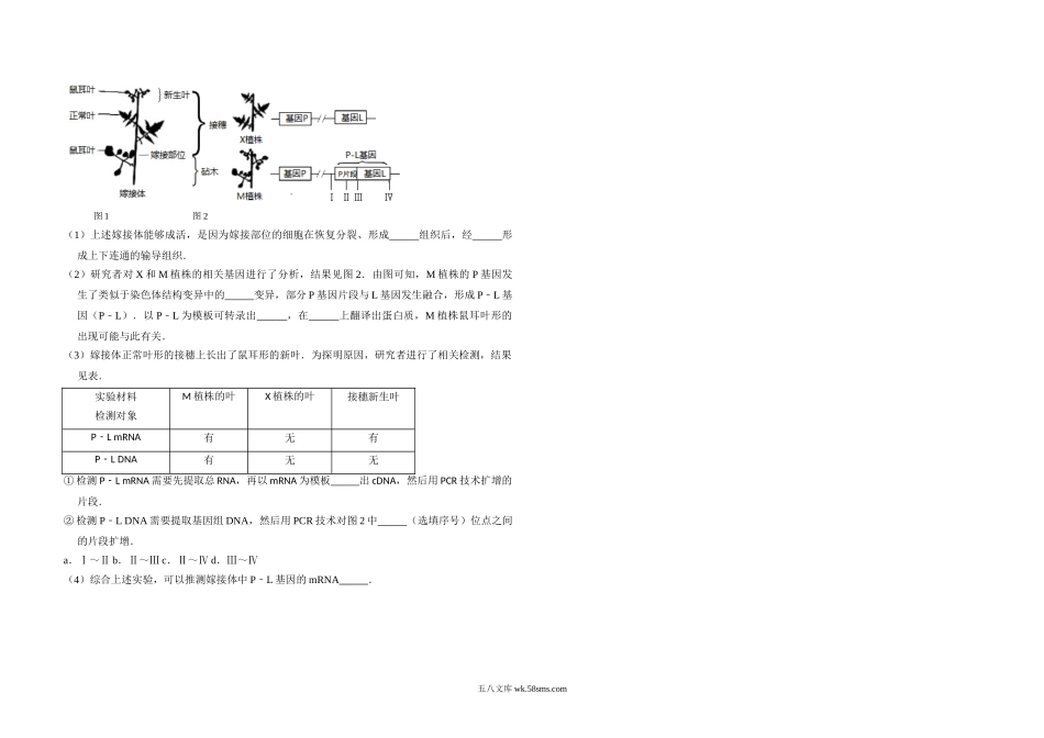 20XX年北京市高考生物试卷（含解析版）(8).doc_第3页