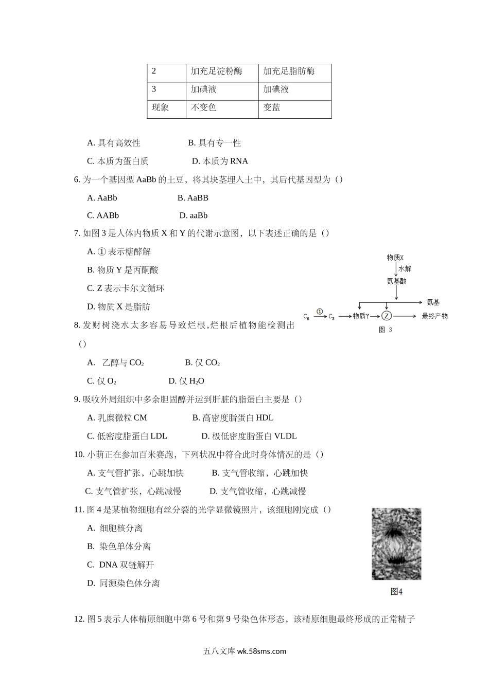 20XX年上海市高中毕业统一学业考试生物试卷（答案版）(10).doc_第2页