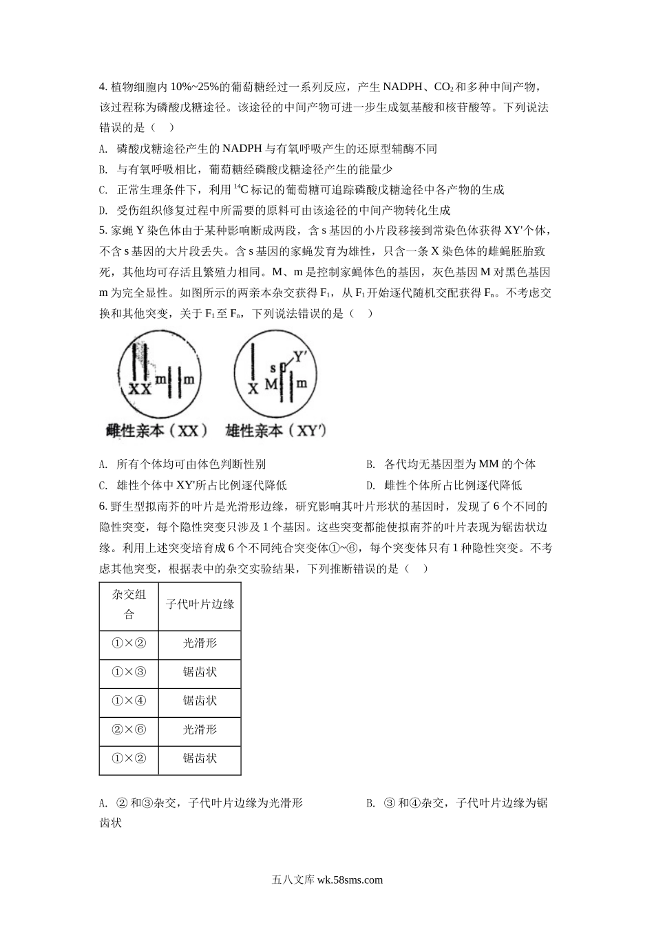 精品解析：20XX年山东省学业水平选择性考试生物试题（原卷版）.docx_第2页