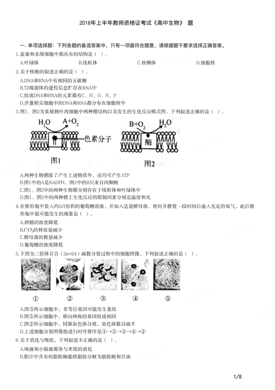 2016年上半年教师资格证考试《高中生物》题.pdf_第1页