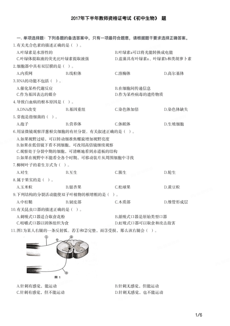 2017年下半年教师资格证考试《初中生物》题.pdf_第1页