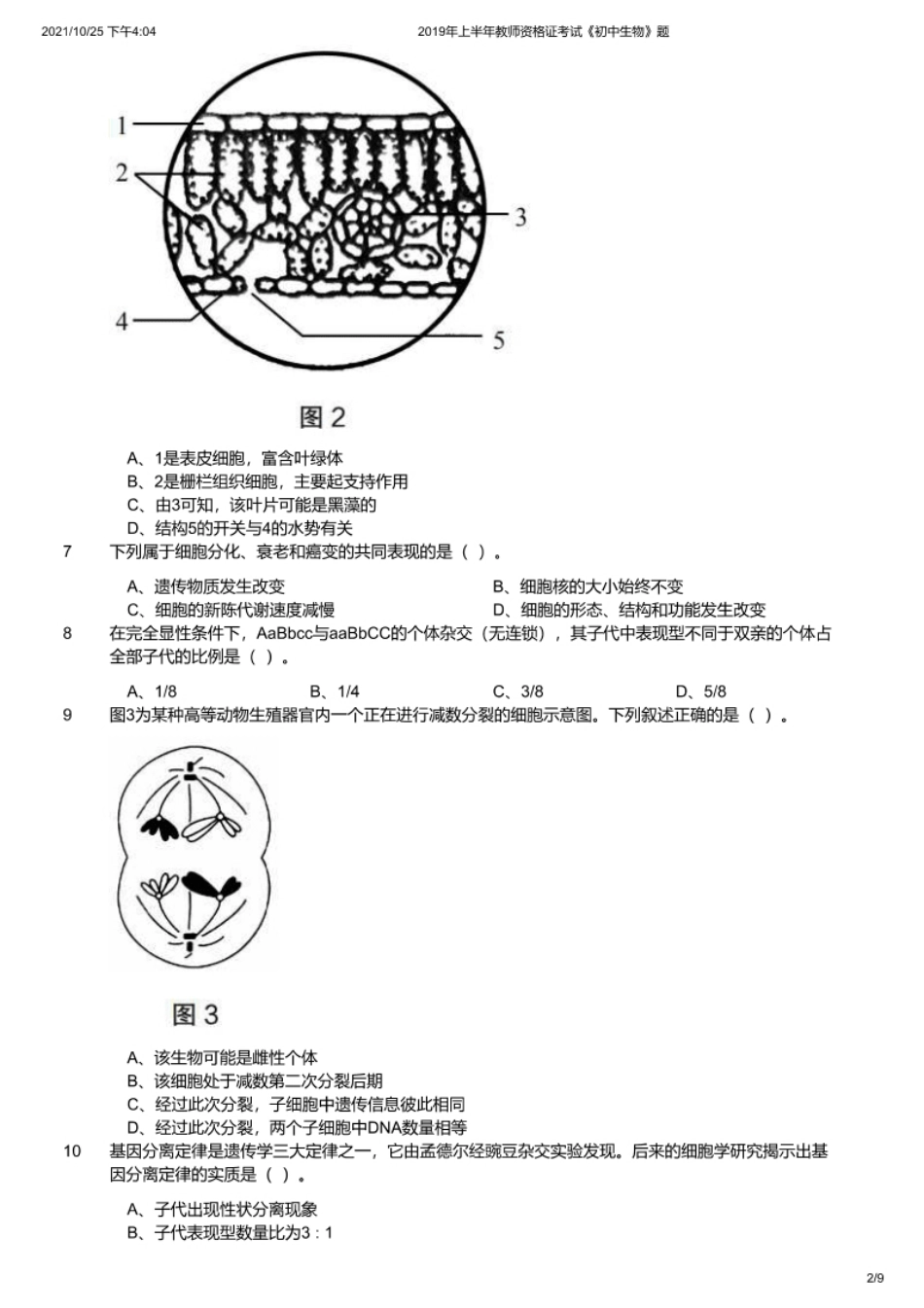 2019年上半年教师资格证考试《初中生物》题.pdf_第2页