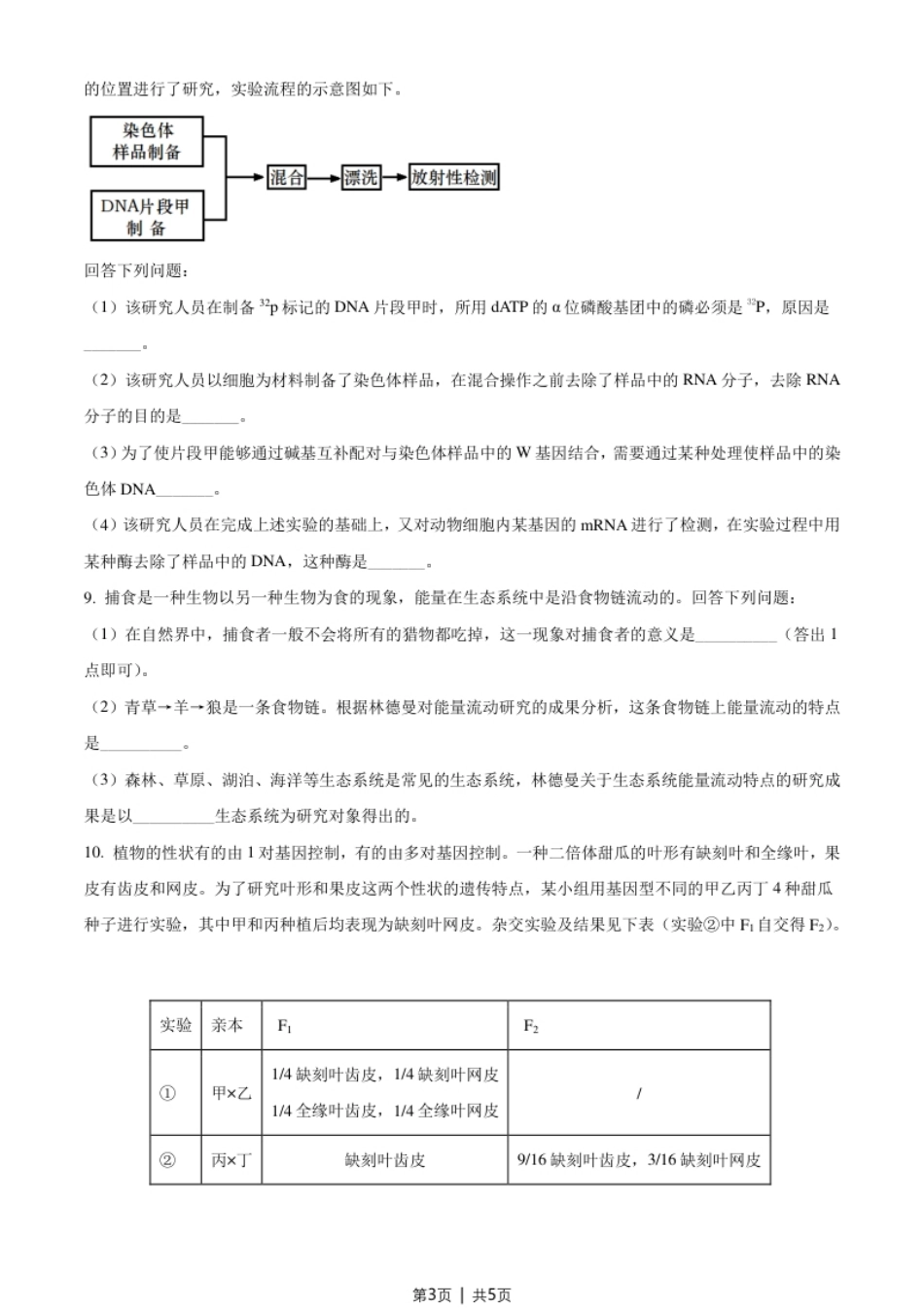 2021年高考生物试卷（全国甲卷）（空白卷）.pdf_第3页