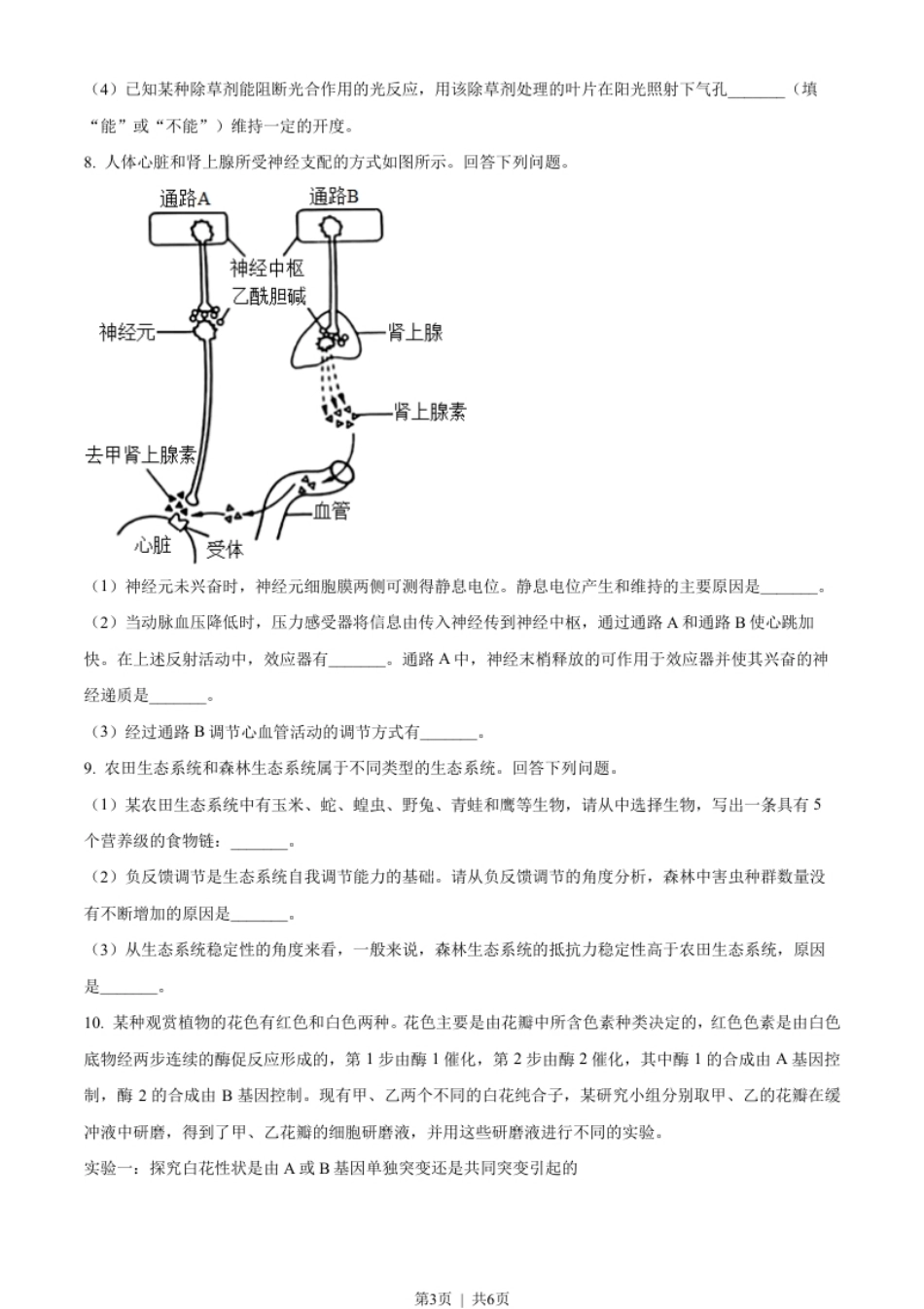 2023年高考生物试卷（全国乙卷）（空白卷）.pdf_第3页