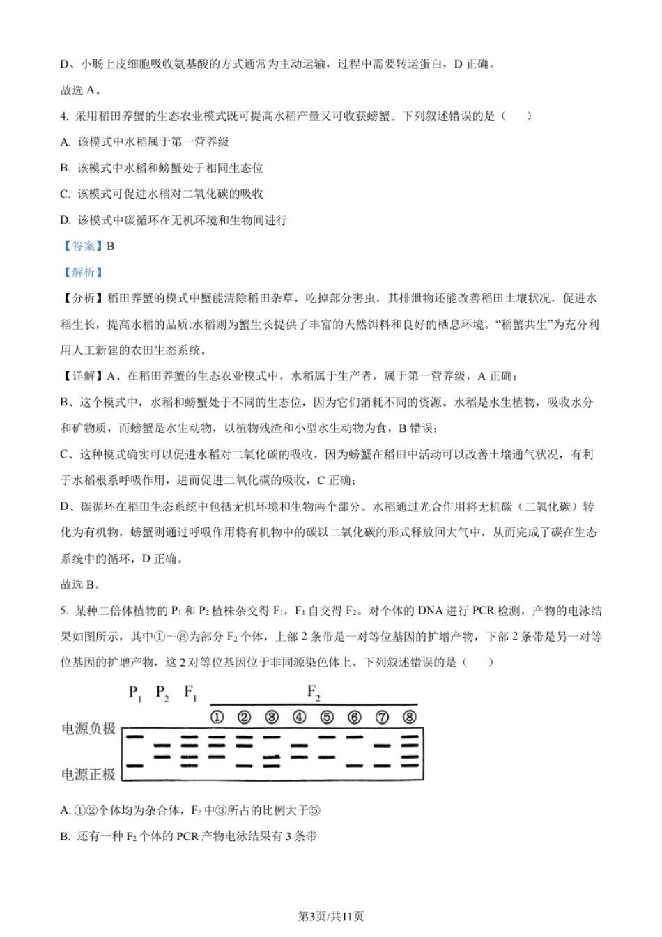 2024年高考生物试卷（新课标）（解析卷）.pdf_第3页