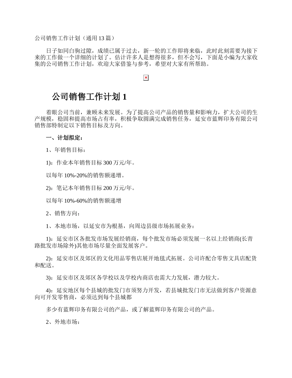 公司销售工作计划.docx_第1页