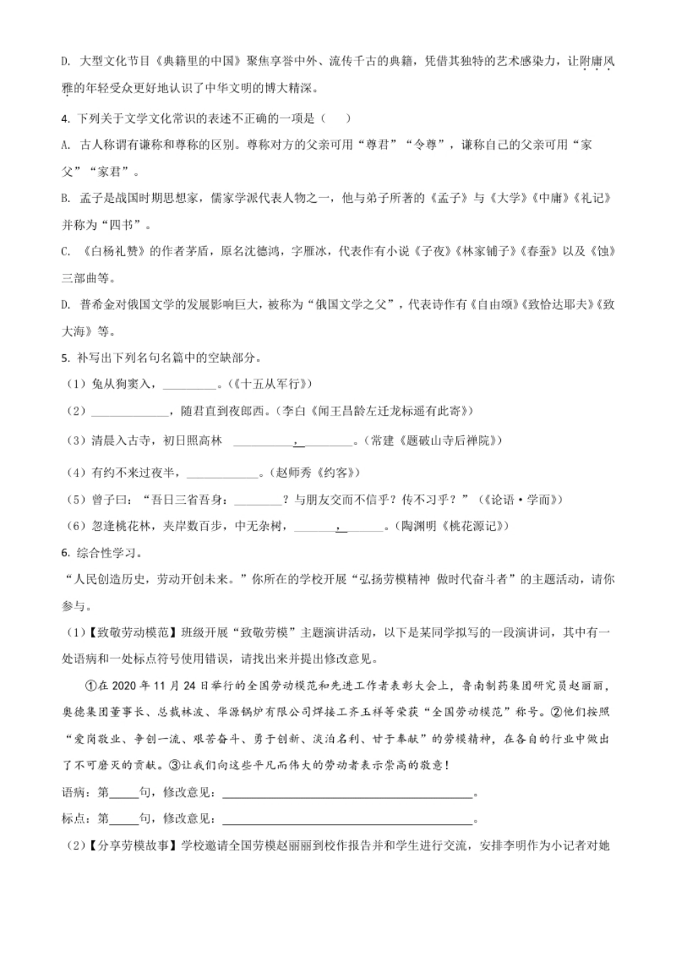 山东省临沂市2021年中考语文试题（原卷版）.pdf_第2页