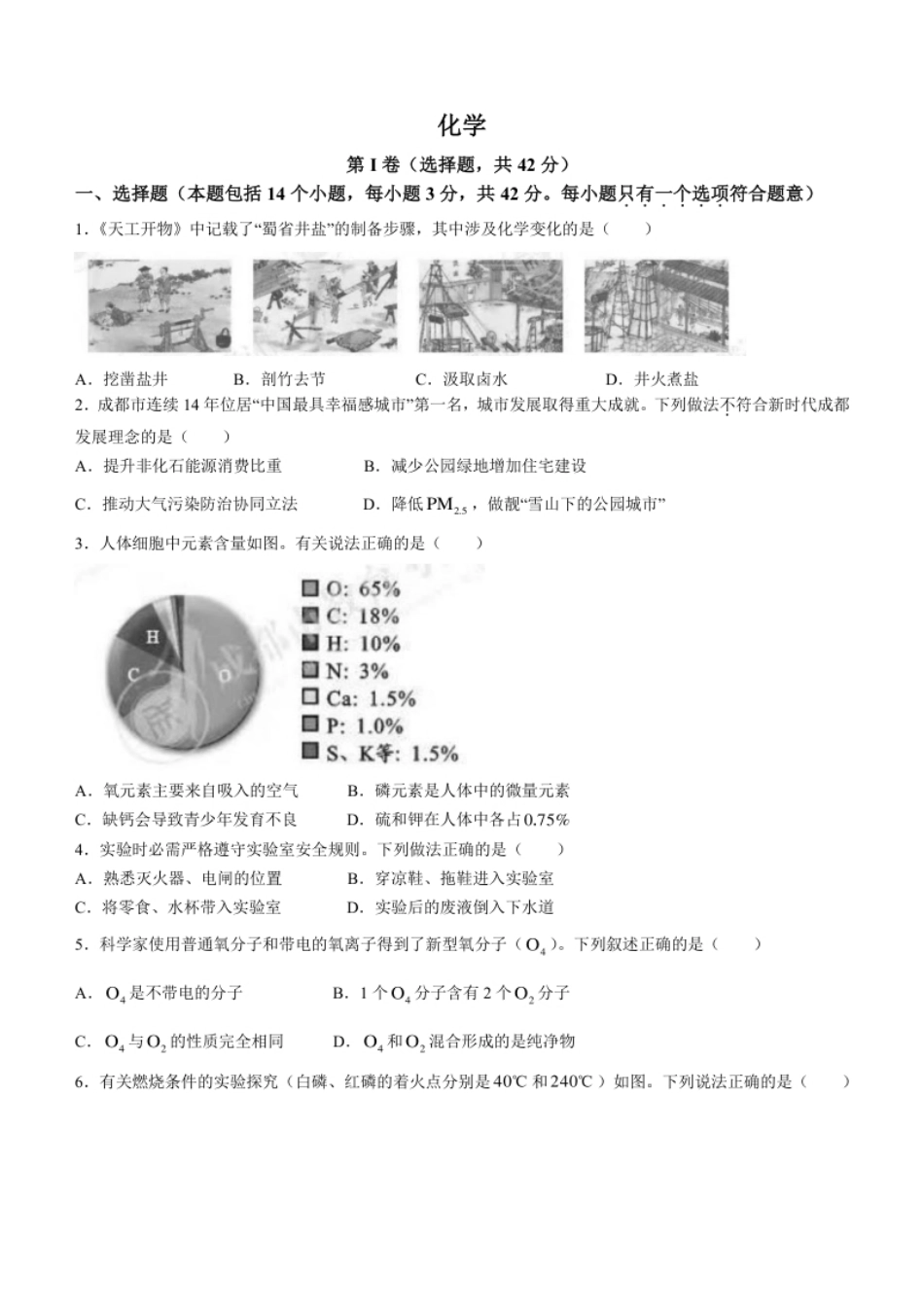 2023年四川省成都市中考化学真题.pdf_第1页