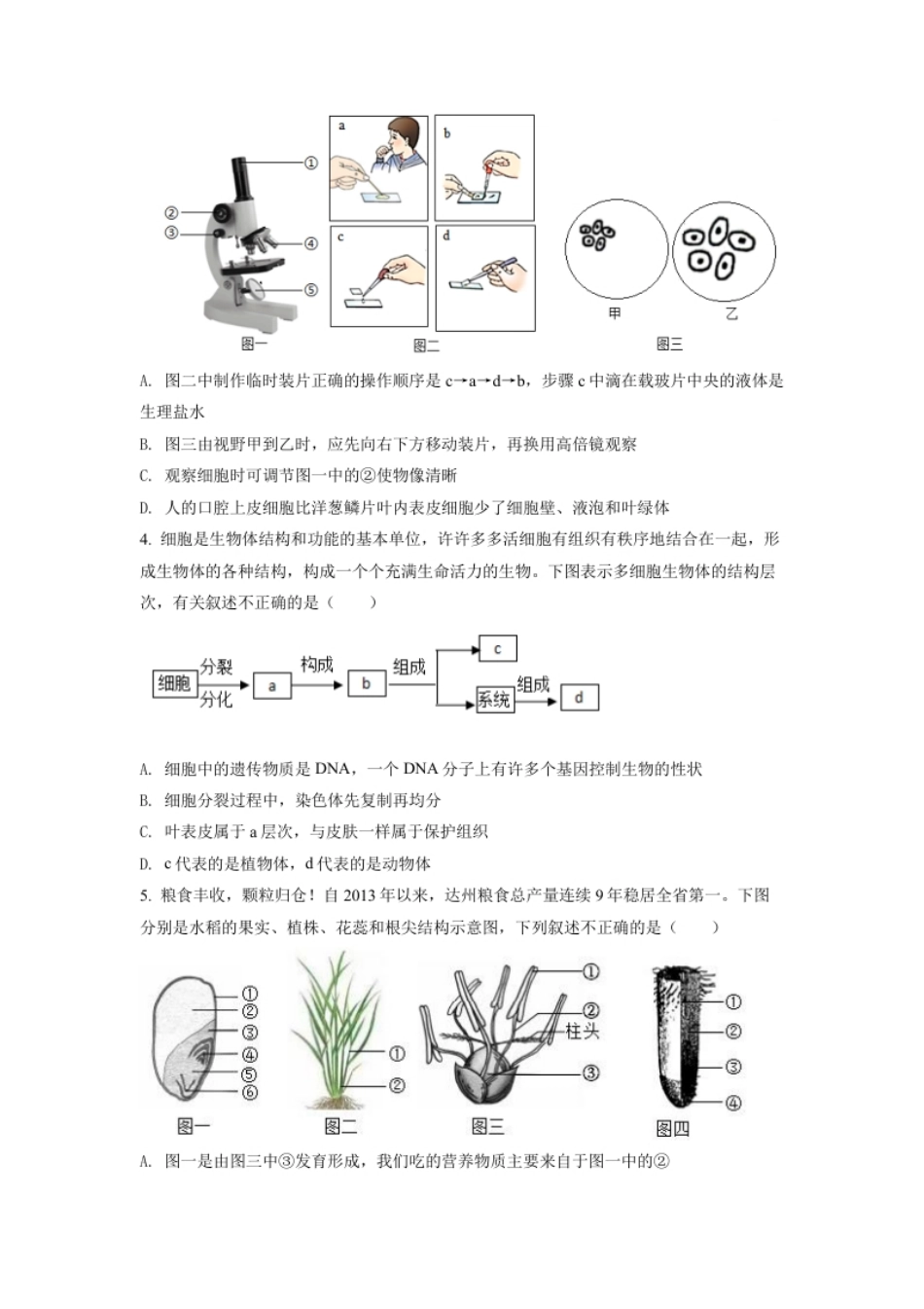 精品解析：2022年四川省达州市中考生物真题（原卷版）.pdf_第2页